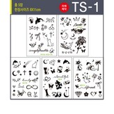 TS-1 × 1개