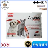 강아지 × 1개
