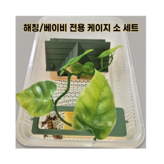 타입 A (기본형 + 이중매트) × 1개