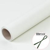 54.연배추색