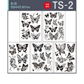TS-2 × 1개