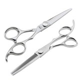 AM SET_5.5 실버 × 1개