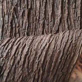 길이 1m 폭 0.2m(접착제 제외) × 1개