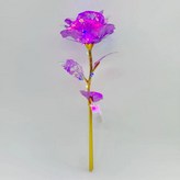 彩淺紫色 × 1個