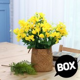 후리지아 옐로우(12개) BOX × 1개