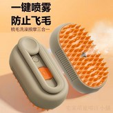 充電噴霧梳+2瓶免洗精華液【卡其色】,【送USB充電線】YYDS × 1個