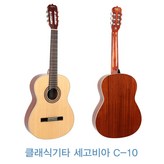 세고비아 × 1개