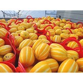 가정용 대과 3kg × 1박스