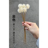 白色一束(六支) × 1個