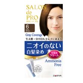 NO6(어두운갈색)