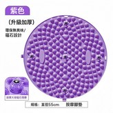 紫色-大號【指壓板】:如圖 × 1個
