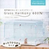 透明 × 1個