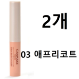애프리콧 3