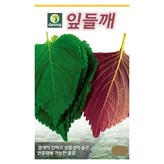 1개