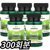300회분