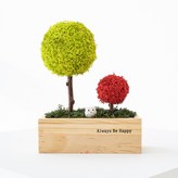 05_스프링그린 × 1개