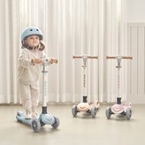 베이비 블루 × 1개