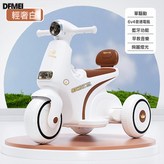 輕奢白-單驅單電6v4.5A:如圖 × 1個