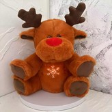 淺棕色 30cm × 1個