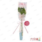 漸層淺粉 × 1件