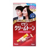 6G × 1개