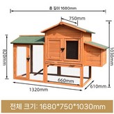 1580 골든레드 × 1개