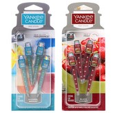 바하마브리즈:블랙체리