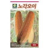 노각오이(씨앗) × 1개