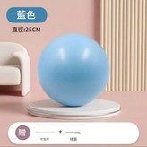 藍色 - 直徑25cm 盆底肌訓練 / 普拉提核心 送打氣筒 × 1個