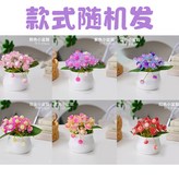 拍總數 款式隨機發 × 1個