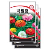 3개