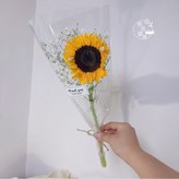 包裝好/1支向日葵+滿天星 × 1個