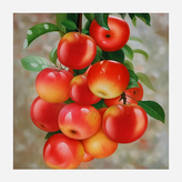 소원자리 × 1개