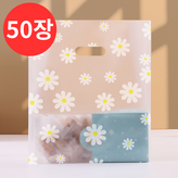 데이지+S × 50개