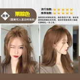 栗棕色【時尚】,一盒裝 × 1個