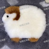 白色,1個（體驗裝) × 1個