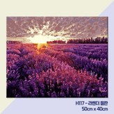 D-08 라벤더들판의 일출