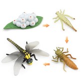 13 잠자리(성장) × 1개