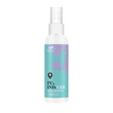 紫綠包裝 120ml × 1個