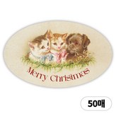 03 고양이와 강아지