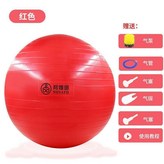 紅色40cm 配打氣漿 × 1個
