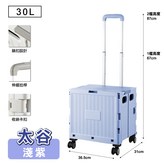 【淺紫】4輪購物車 × 1個