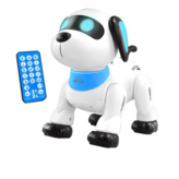 01 단일 × 2세트