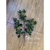 綠帶白邊 × 1個