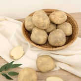 감자 10kg 중 × 1개