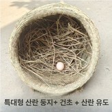 C. 특대형 35x40cm