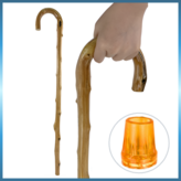 등나무 본색 × 1개