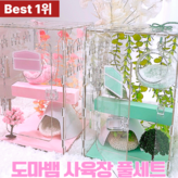 민트 × 1세트