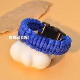 1_블루 × 1개