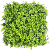 라이트 메이플 × 1개